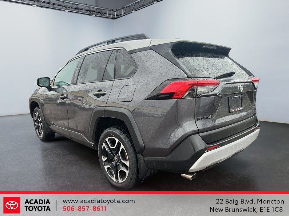 2019 Toyota RAV4 Trail-4