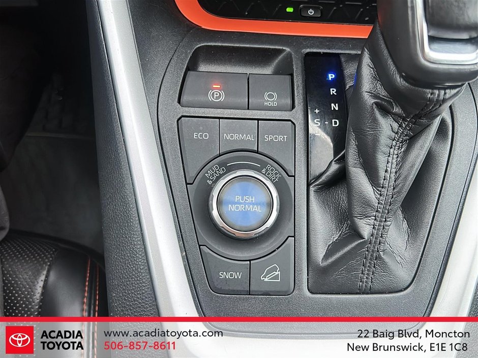 2019 Toyota RAV4 Trail-16