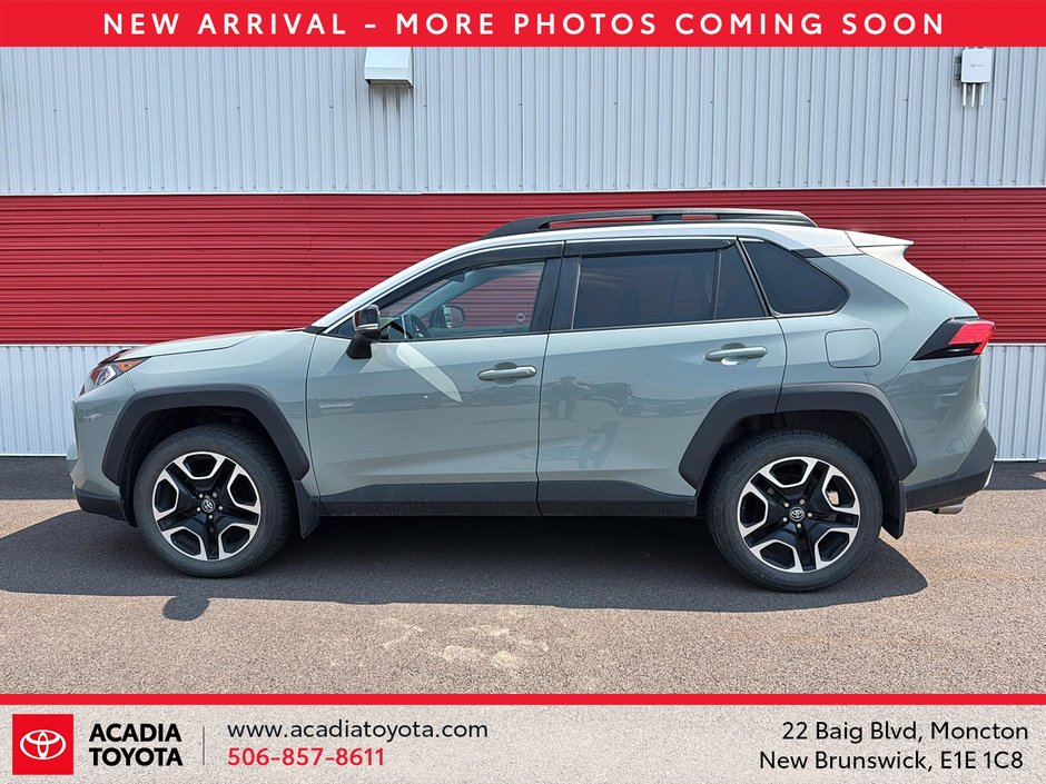 2020 Toyota RAV4 Trail-4