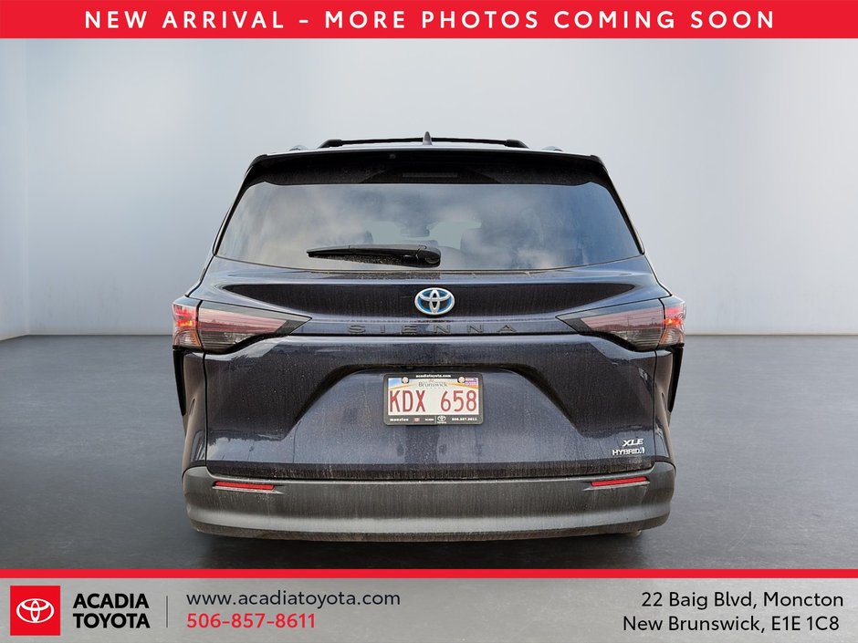 Toyota Sienna XLE 2024-2