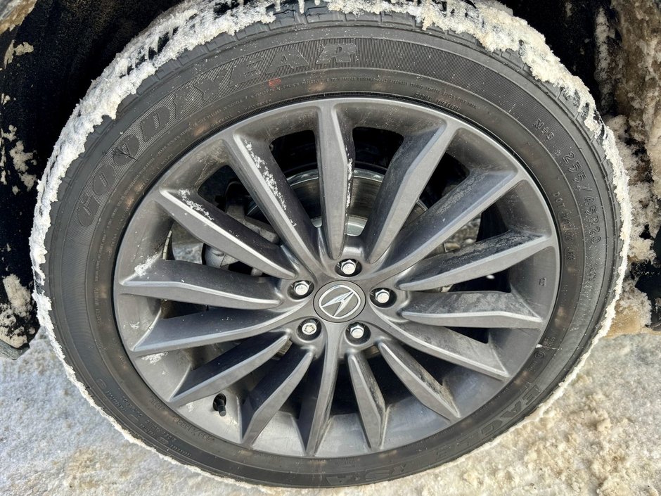 2024 Acura RDX Platinum Elite A-Spec-39