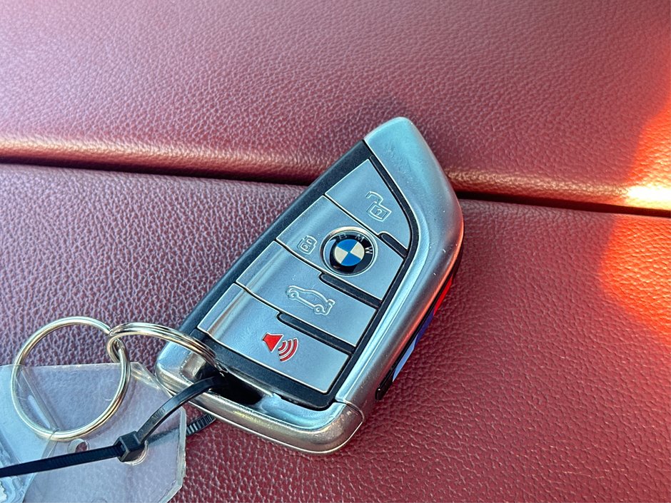 2020 BMW X6 M50i-25