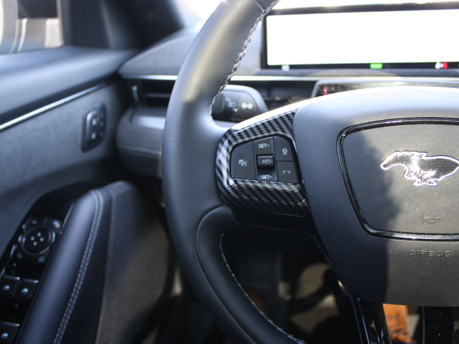 2022 Ford Mustang Mach-E GT-13