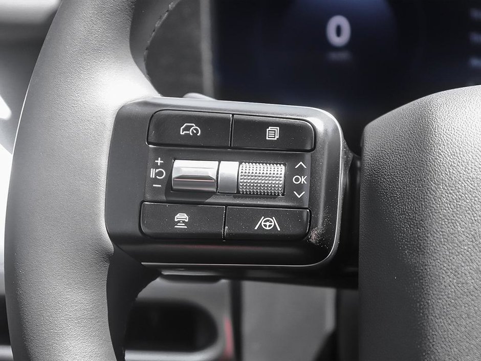 2026 Hyundai Ioniq 9 Preferred AWD-13