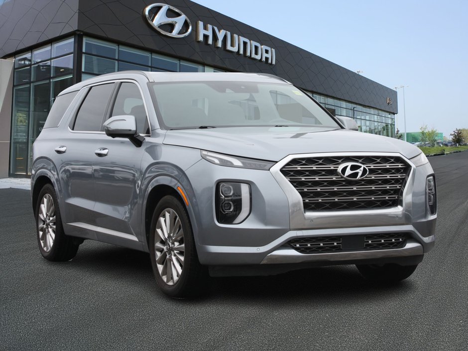 2020 Hyundai Palisade Ultimate-2