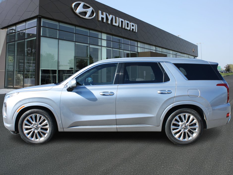 2020 Hyundai Palisade Ultimate-7