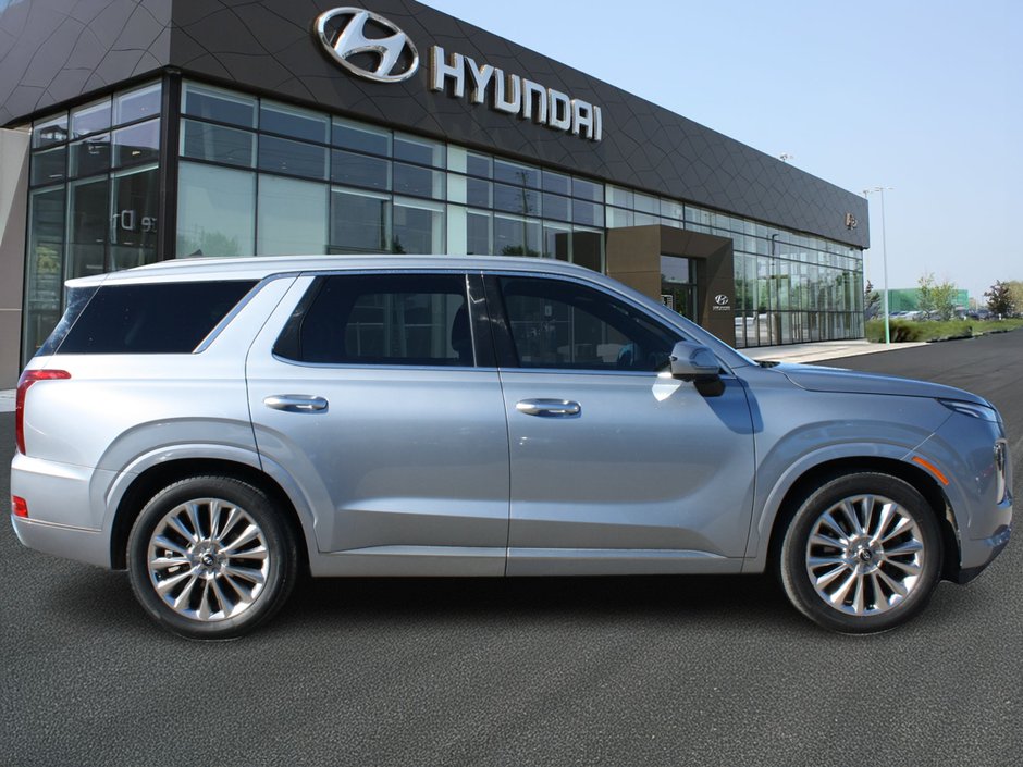2020 Hyundai Palisade Ultimate-3