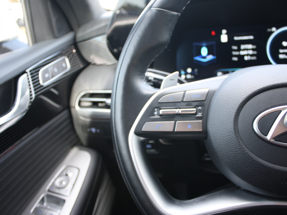 2024 Hyundai Palisade Ultimate-20