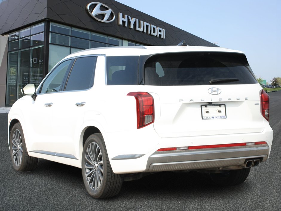 2025 Hyundai Palisade Ultimate-6