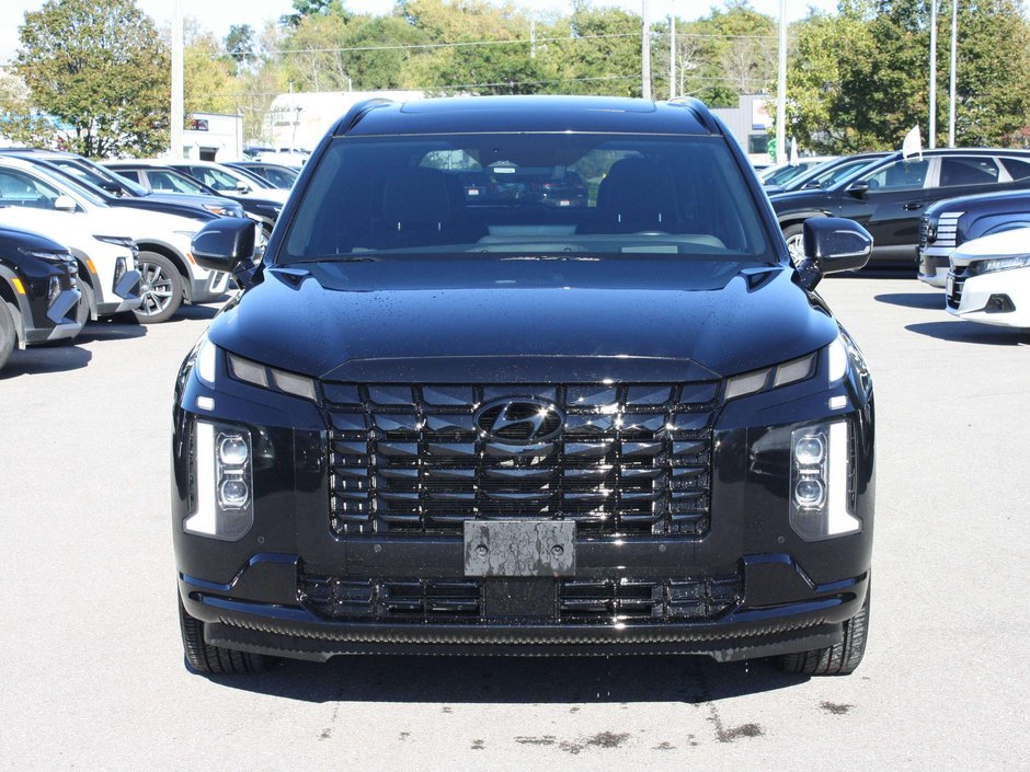 2025 Hyundai Palisade Ultimate-1