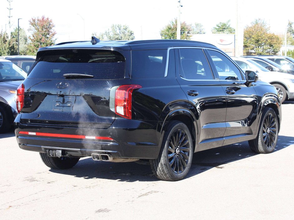 2025 Hyundai Palisade Ultimate-3