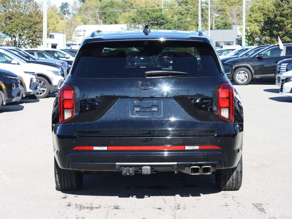 2025 Hyundai Palisade Ultimate-4