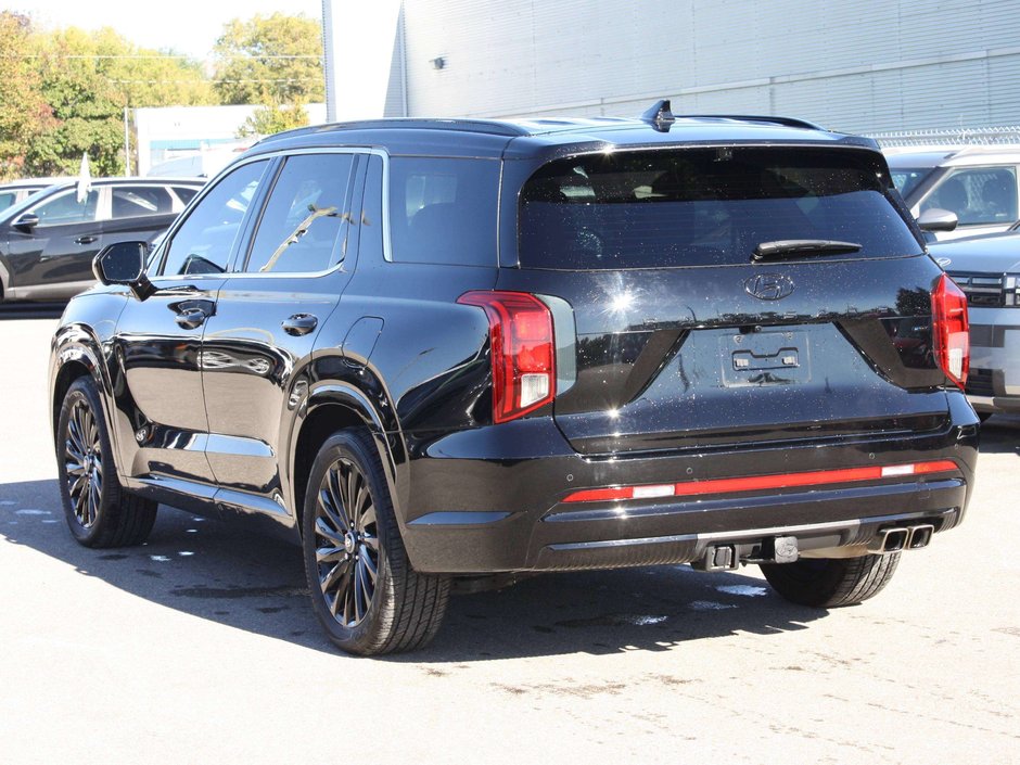 2025 Hyundai Palisade Ultimate-5