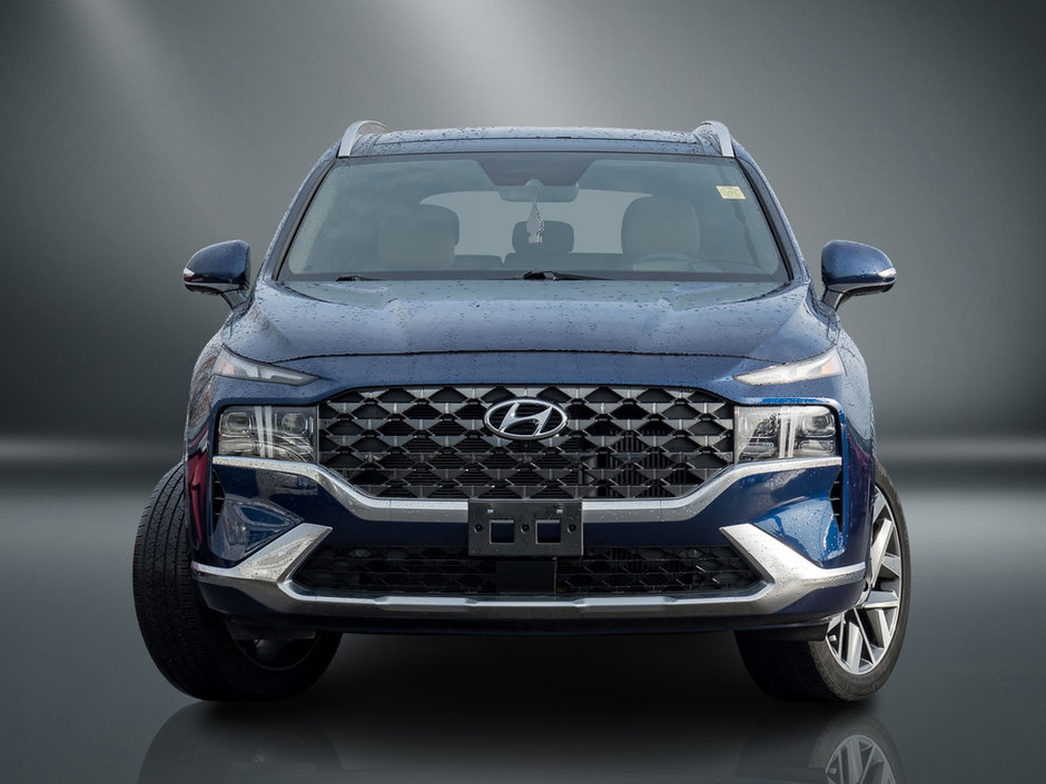 2022 Hyundai Santa Fe Ultimate-1