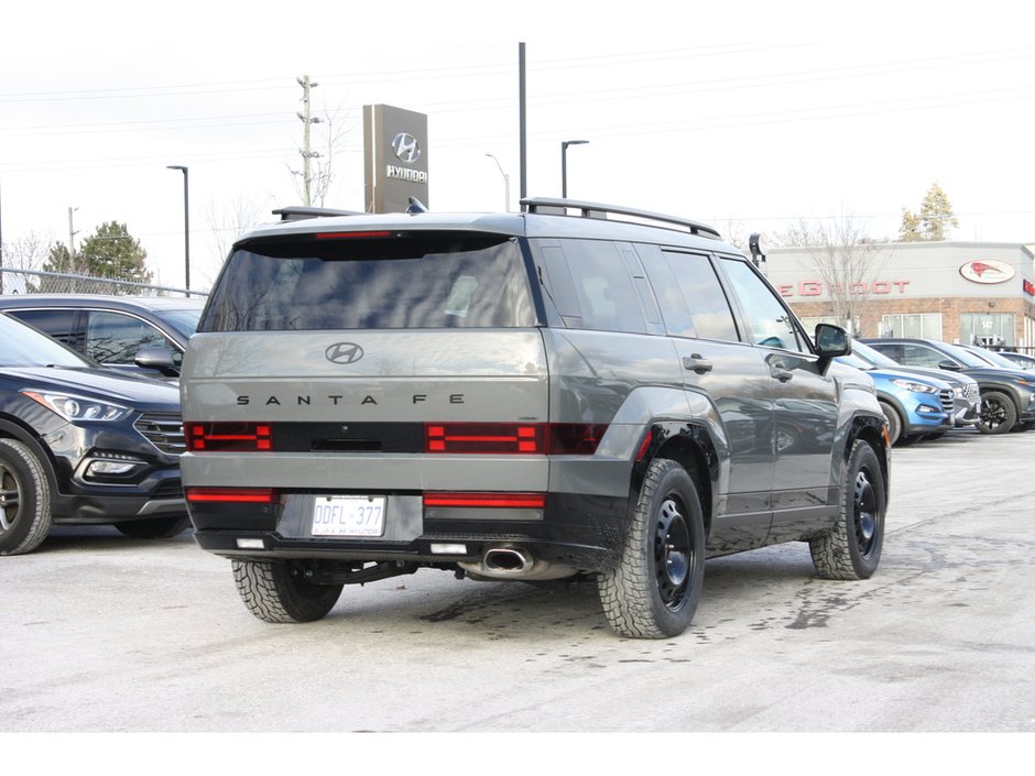 2025 Hyundai Santa Fe Ultimate-4