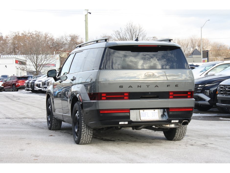 2025 Hyundai Santa Fe Ultimate-6