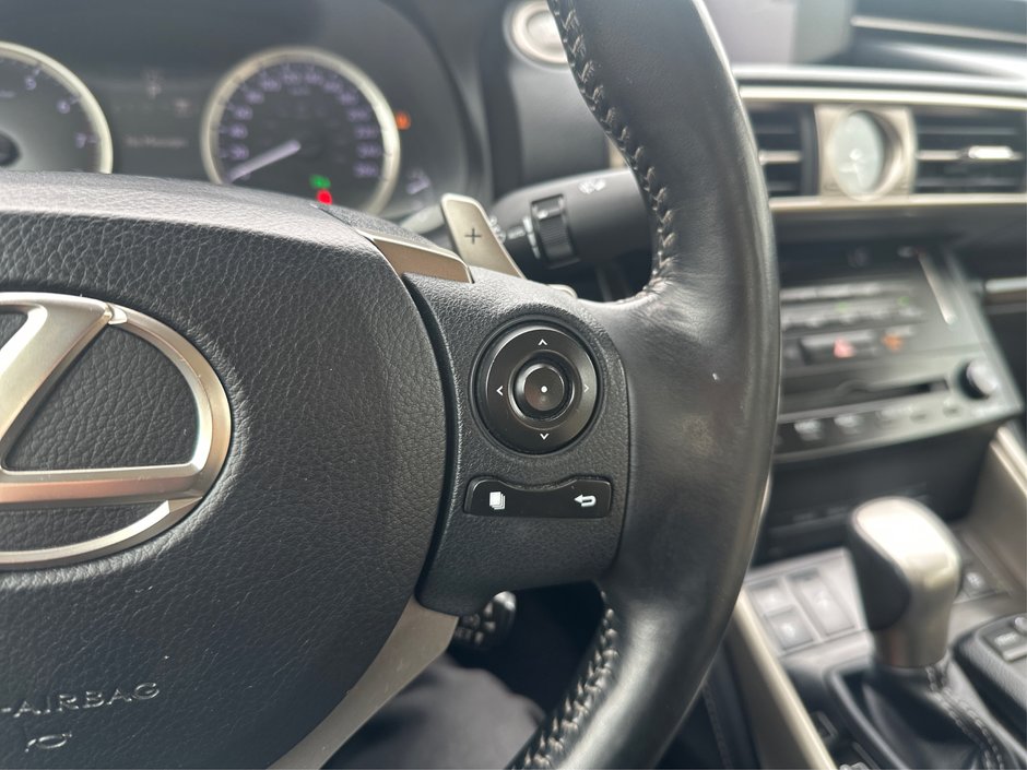 2014 Lexus IS 250-22