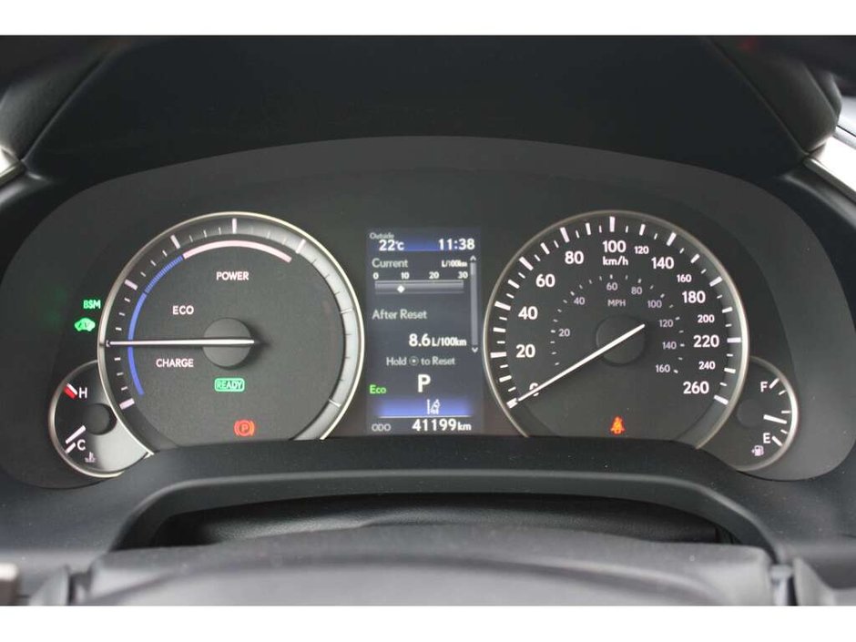 2022 Lexus RX 450h-16