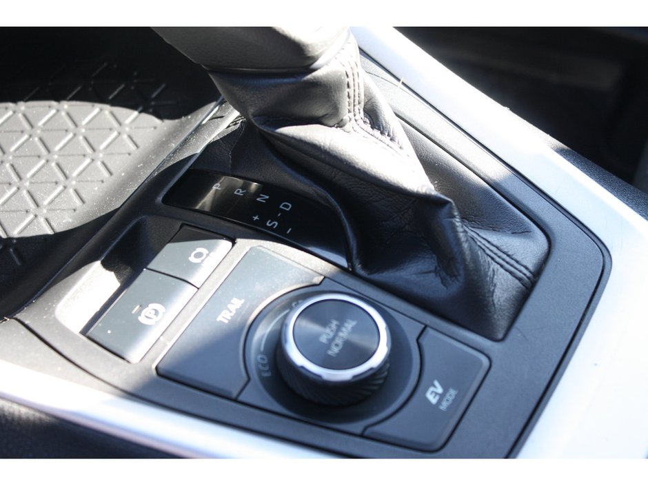 2020 Toyota RAV4 Hybrid XLE-14