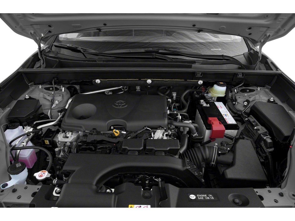 2019 Toyota RAV4 Limited-6