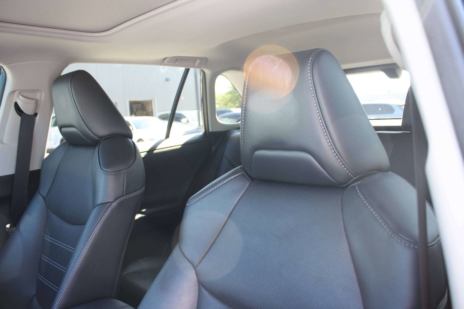 2019 Toyota RAV4 Limited-10