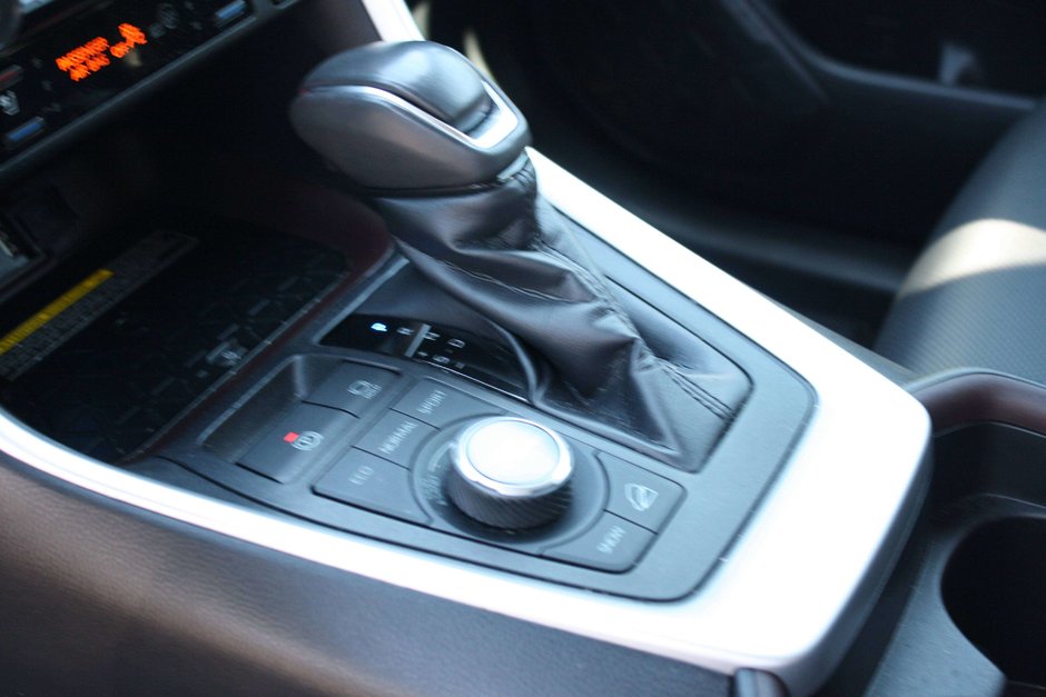 2019 Toyota RAV4 Limited-13