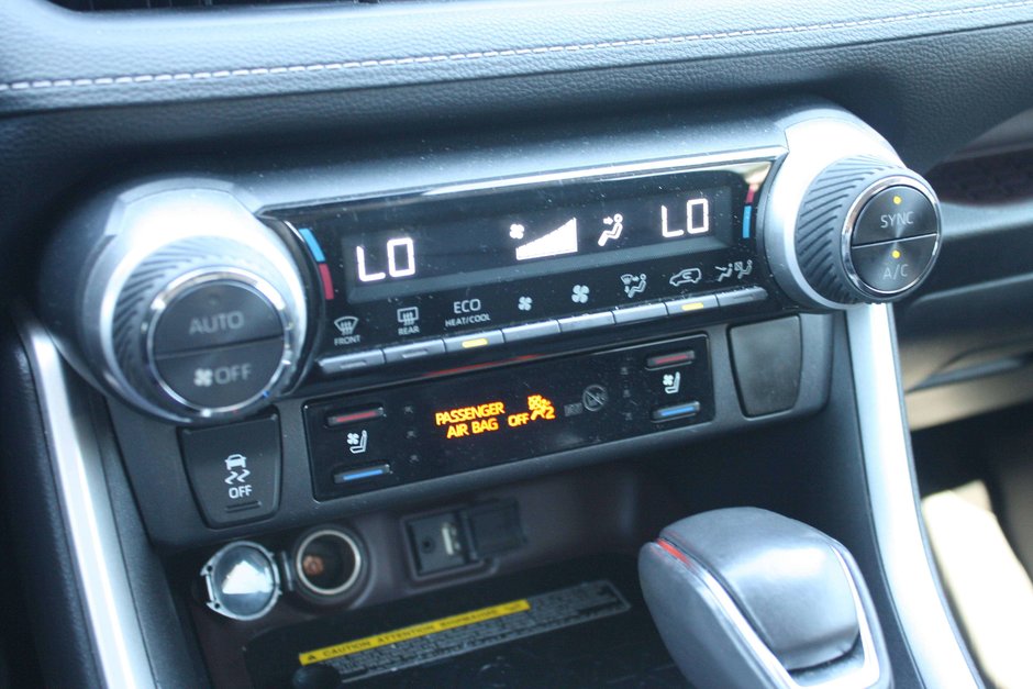 2019 Toyota RAV4 Limited-17