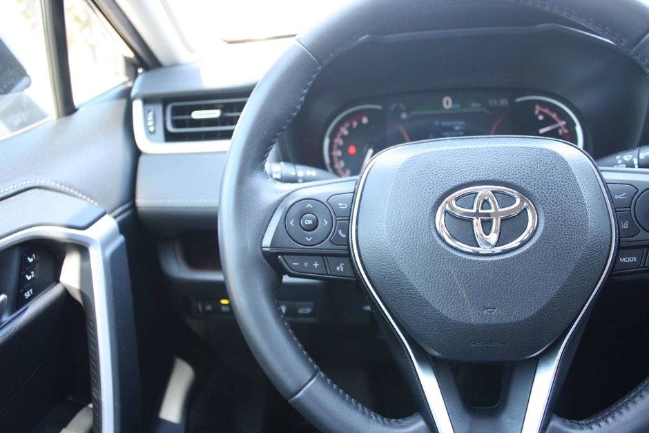 2019 Toyota RAV4 Limited-16