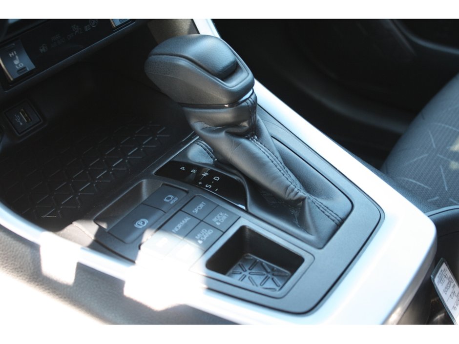 2025 Toyota RAV4 LE-12