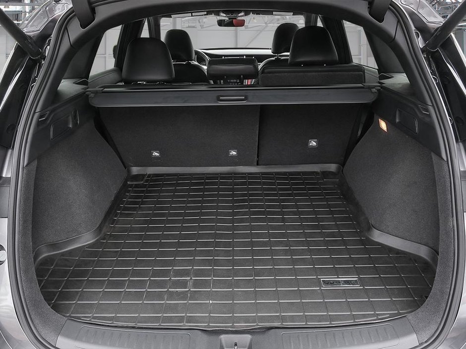 2025 Infiniti QX50 SPORT-6