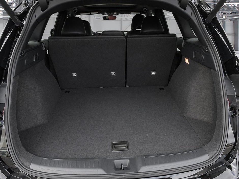 2025 Infiniti QX50 SPORT-6