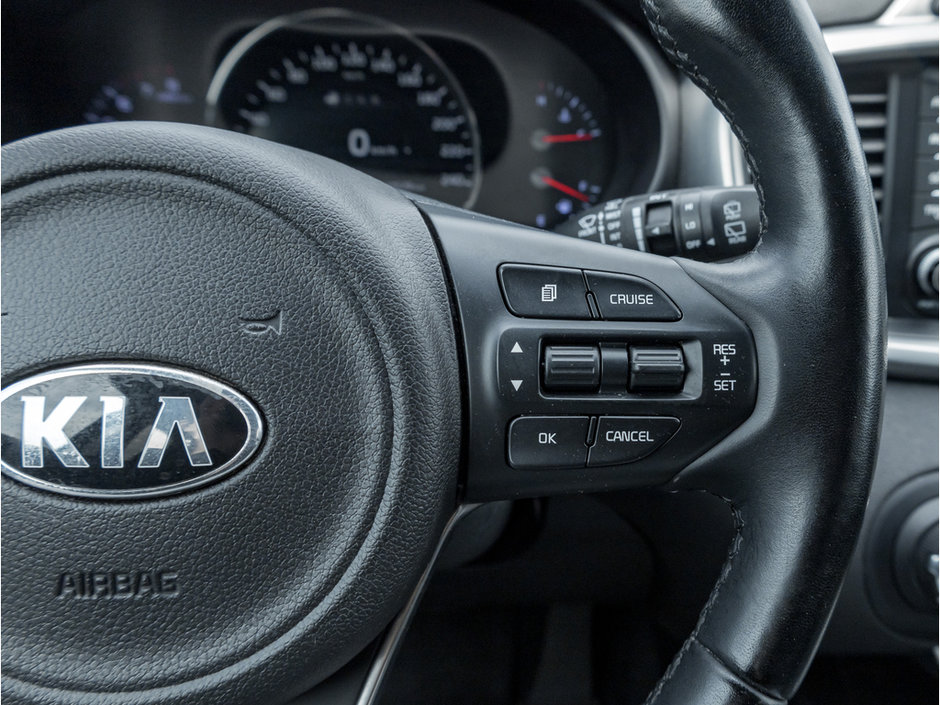 2017 Kia Sorento EX-10