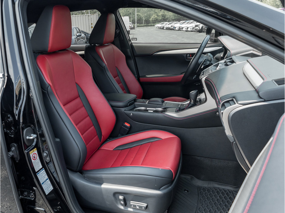 2018 Lexus NX 300-26