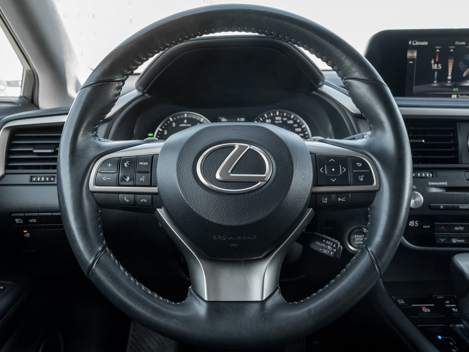 2021 Lexus RX 350-7