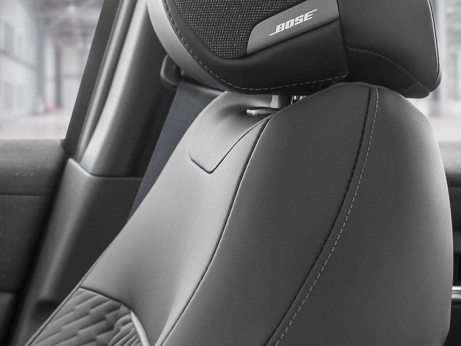 2026 Nissan LEAF Platinum Plus-15