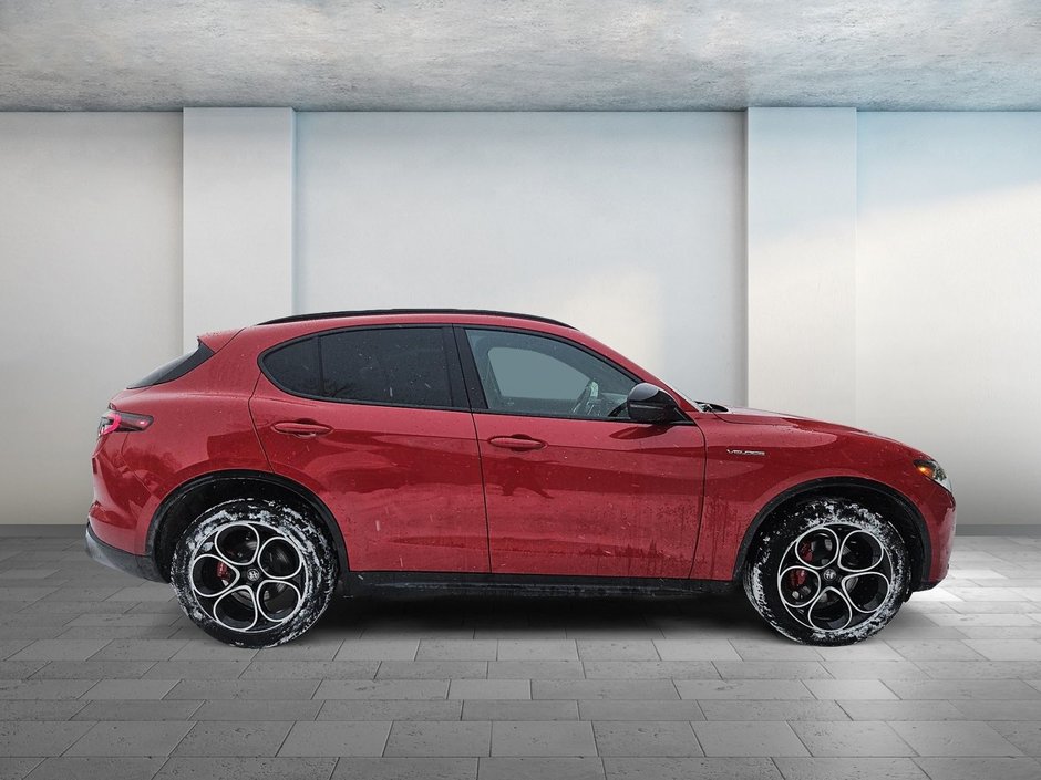 Alfa Romeo de Québec in Boischatel, 2024 Alfa Romeo Stelvio COMPETIZIONE