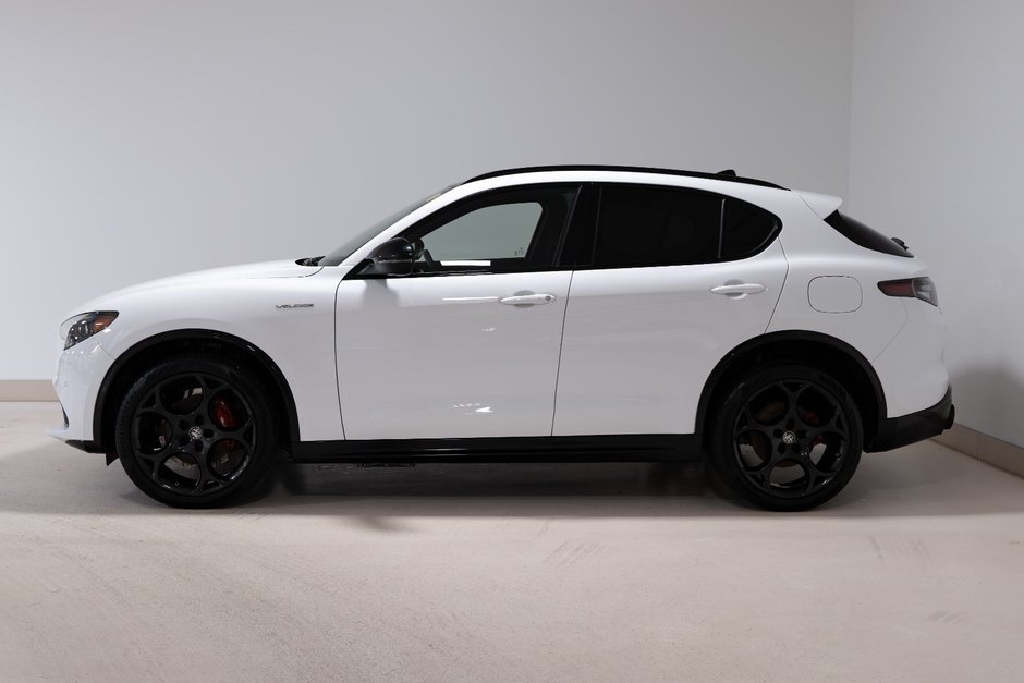 2024 Alfa Romeo Stelvio Veloce-8