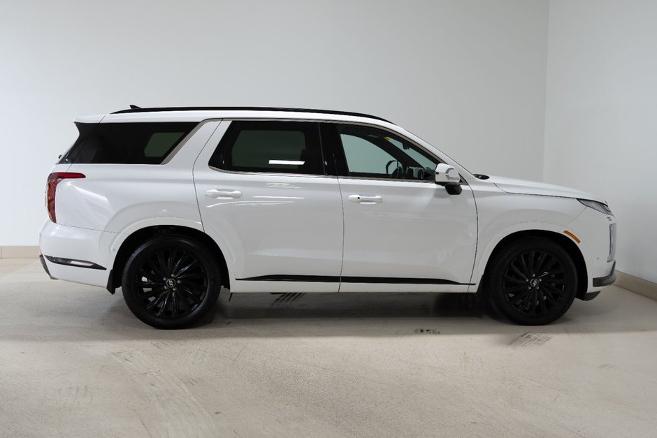 2025 Hyundai Palisade Ultimate Calligraphy Night-3