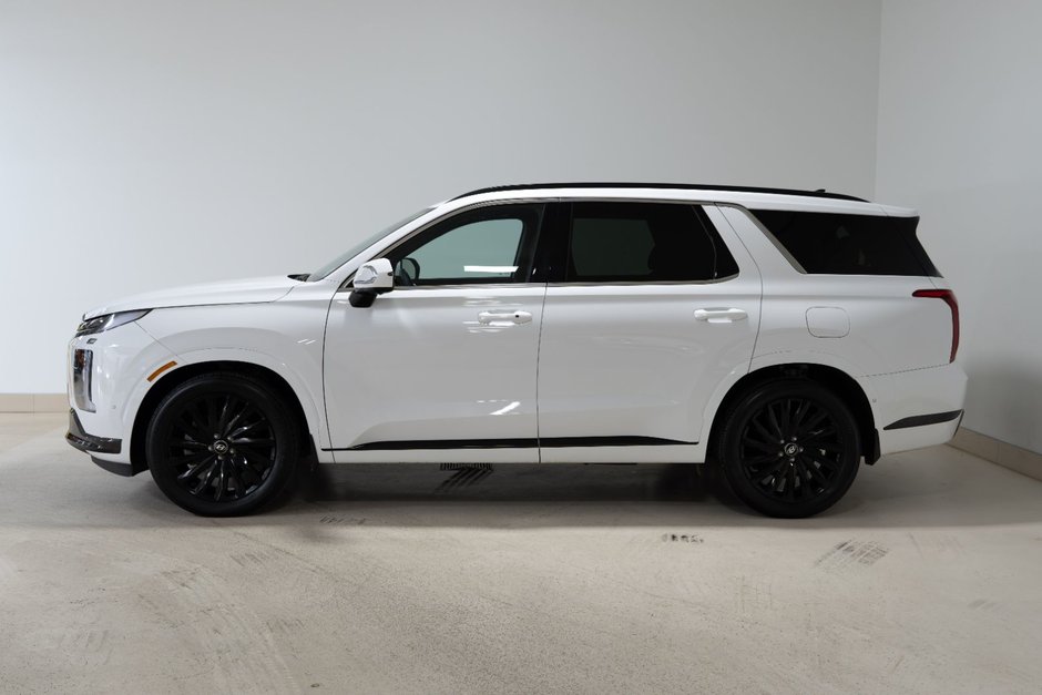 2025 Hyundai Palisade Ultimate Calligraphy Night-8