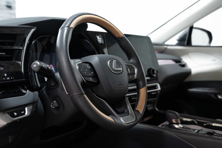 2024 Lexus RX 350h-13