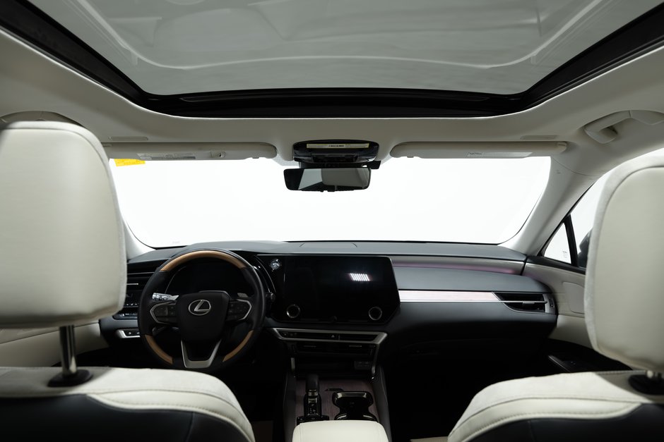 2024 Lexus RX 350h-29