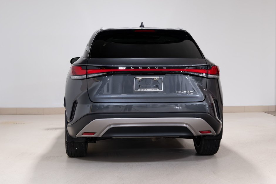 2024 Lexus RX 350h-5