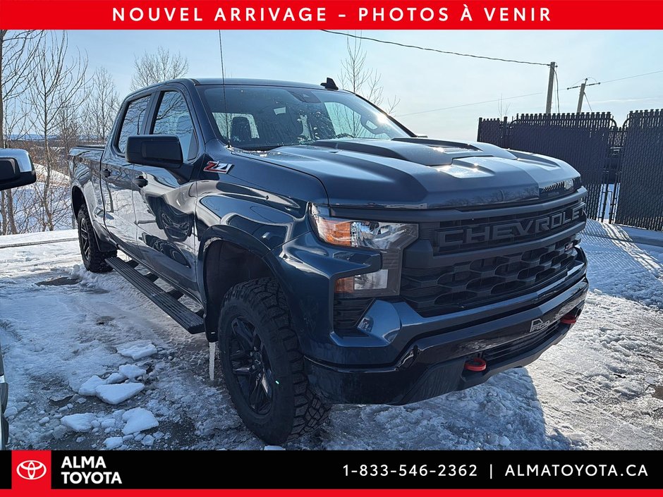 2022 Chevrolet Silverado 1500 CUSTOM TRAIL BOSS-1