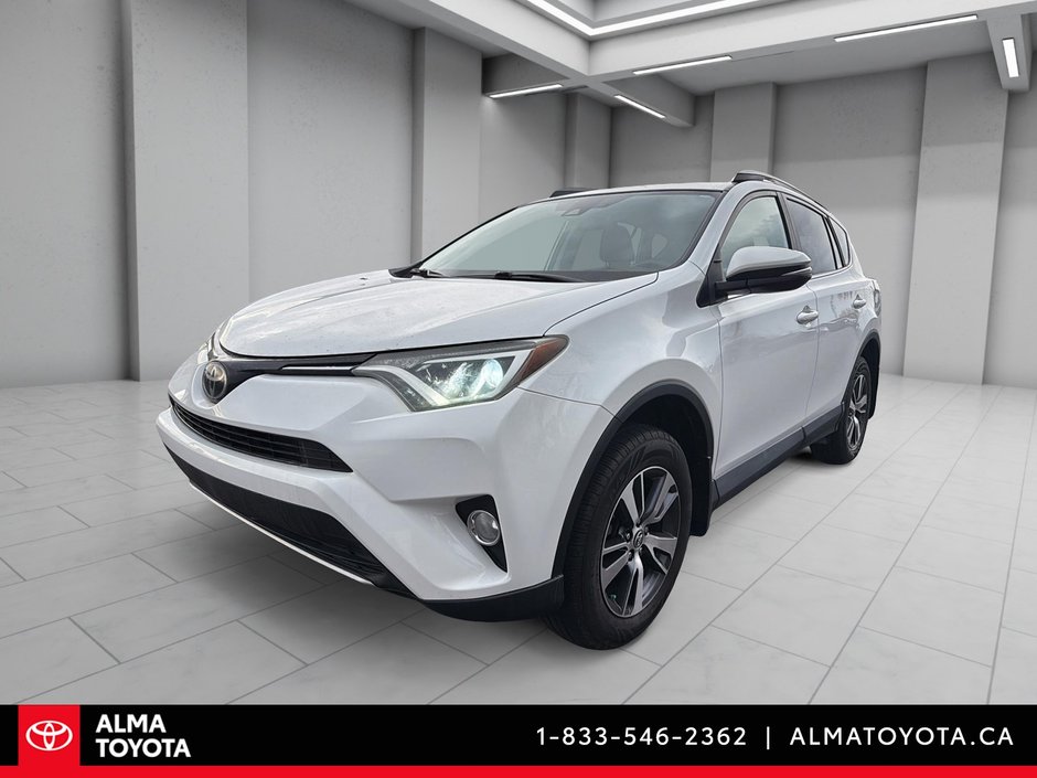 2018 Toyota RAV4 XLE AWD-0