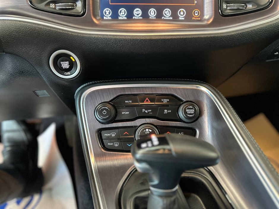 2017 Dodge Challenger R/T-19