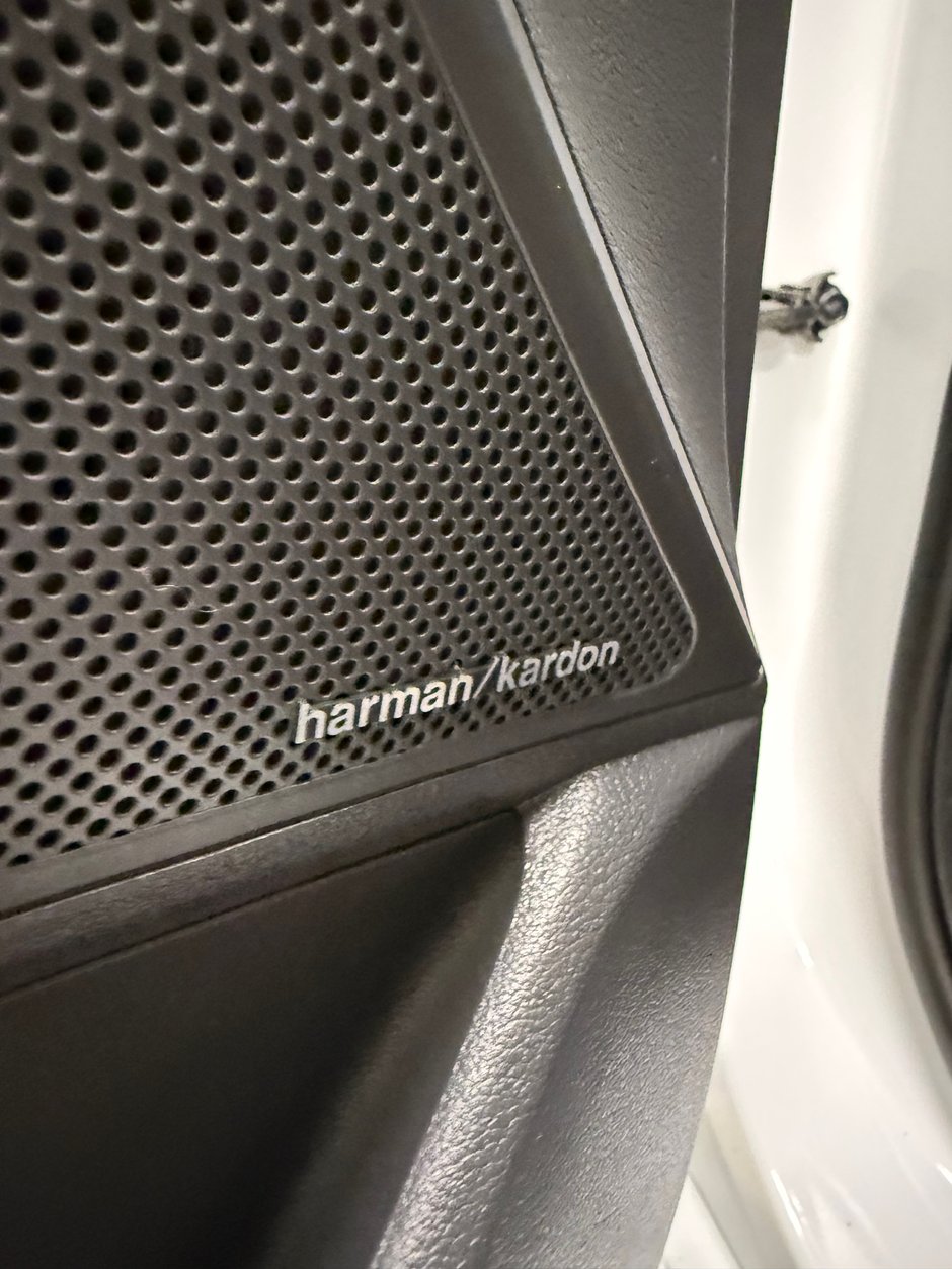 2020 Hyundai Ioniq Electric Preferred-13