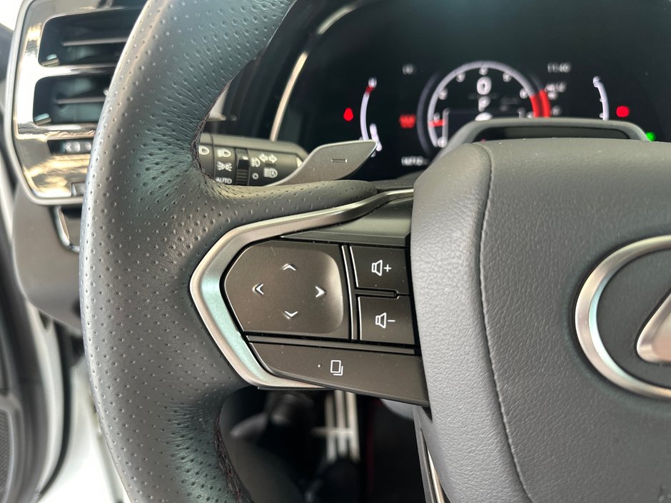 2023 Lexus RX 350-27