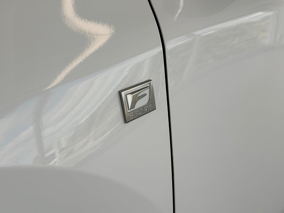 2023 Lexus RX 350-9