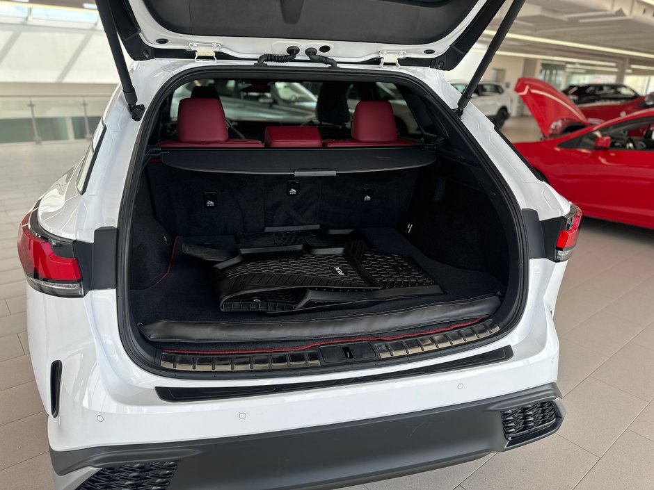 2023 Lexus RX 350-8