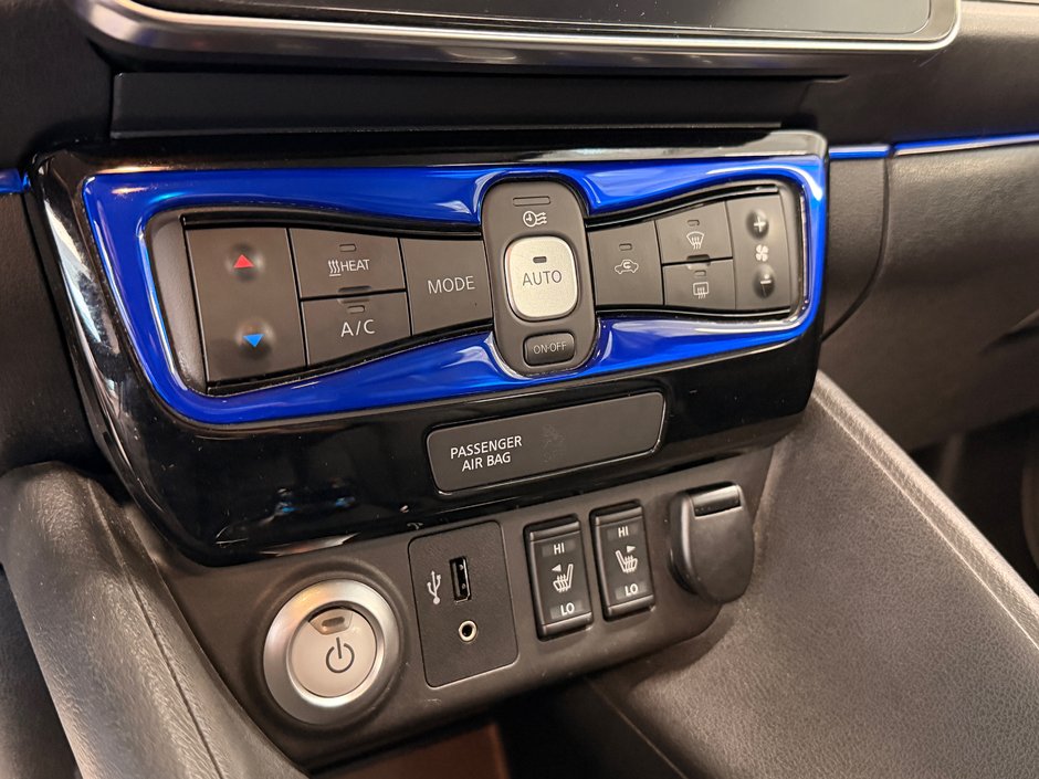 2019 Nissan LEAF SL-20